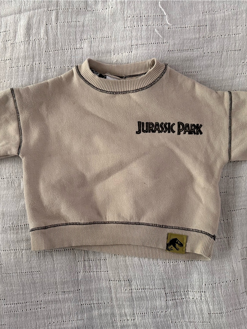 Zara Jurassic Park Toddler Sweatshirt in Beige with Black Logo